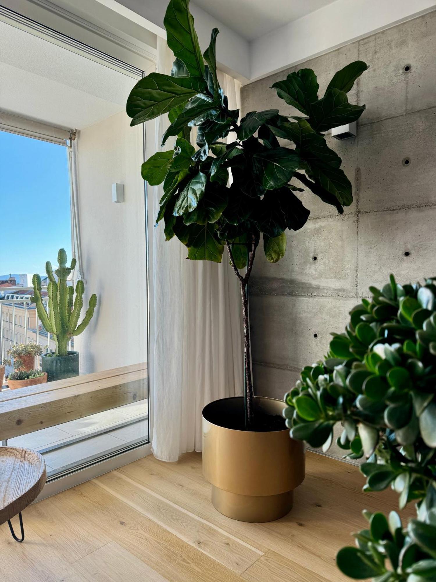 스플리트 D'Art Penthouse 아파트 외부 사진